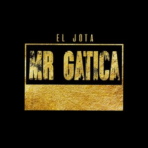 Mr. Gatica