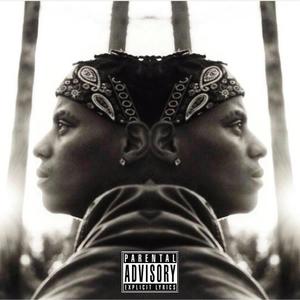 Do it for the money (feat. Ace Liberachi) (Explicit)