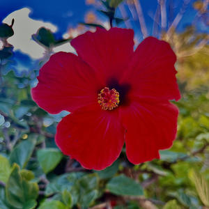 Ninguém (feat. ST.oficial)