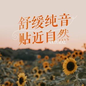 治愈轻音乐 | 身心愉快 抚平心绪