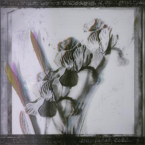 Between Two Rivers(feat. MOTNK)