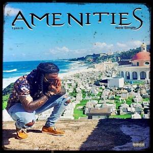 Amenities (Explicit)