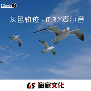 灰色轨迹封面