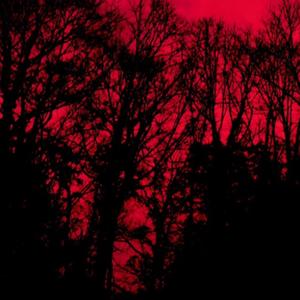 Interlude I Made For You... (Explicit)