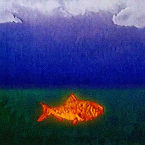 roadblock (feat. Rob Apollo) (Explicit)