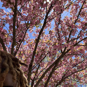 hold my heart (Explicit)