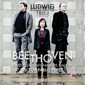 Concerto for Piano, Violin, Cello and Orchestra in C Major Op. 56, Triple Concerto: Largo