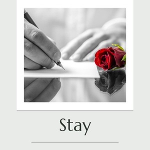 Stay