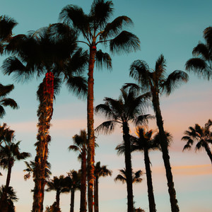 Poolside Frequencies