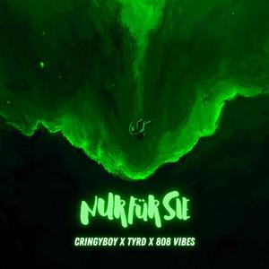 Nur für Sie (feat. tyrd & 808 Vibes) (Explicit)