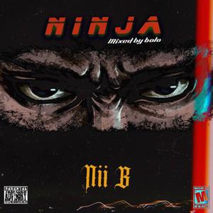 Ninja (Explicit)