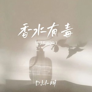 香水有毒 (DJ小璐版)封面