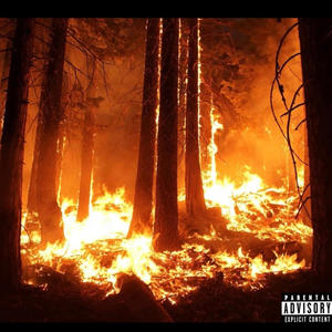 Wildfire (Explicit)