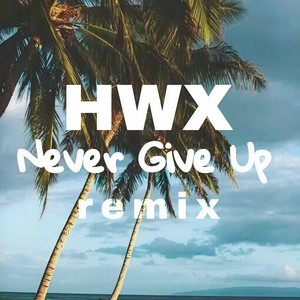 Jonae-Never Give Up (Tropical House Remix|何维鑫/Jonae Remix)