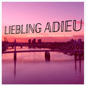 Liebling Adieu (George Kwali & Hugh Harris Remix)