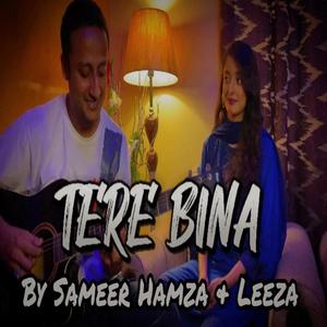 Tere Bina (feat. Leeza)