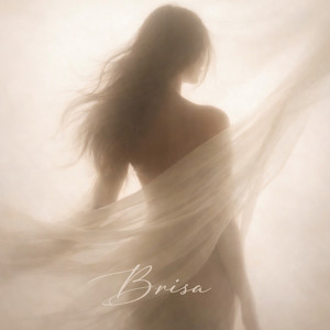 BRISA