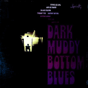 Dark Muddy Bottom Blues（黑胶版）