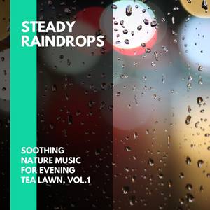 Steady Raindrops - Soothing Nature Music for Evening Tea Lawn, Vol.1