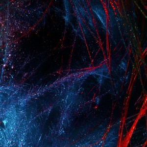 The Spark