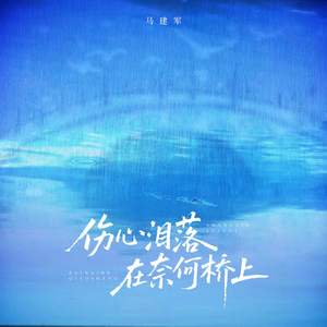 伤心泪落在奈何桥上