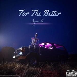 For The Better (Explicit)