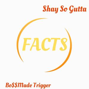 Facts (feat. Bo$$Made Trigger) (Explicit)