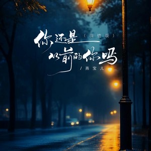你还是从前的你吗 (深情版)封面