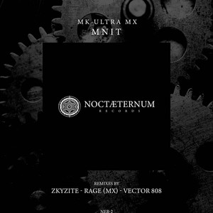 MNIT (ZKYZITE Remix)