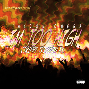 Im Too High (Trippy Tripppin x4) [Explicit]