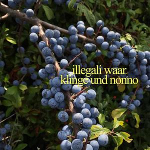 Illegali Waar (Explicit)