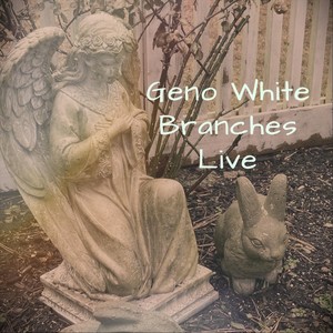 Charli's Blues (Live)