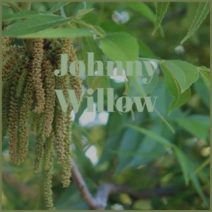 Johnny Willow