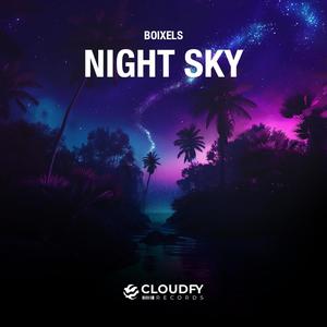 Night Sky