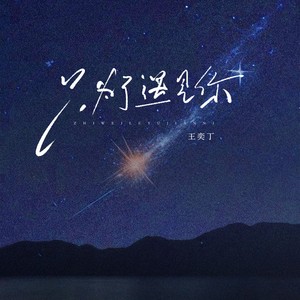 只为了遇见你