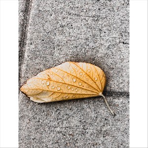 Welcome to My Life (Explicit)