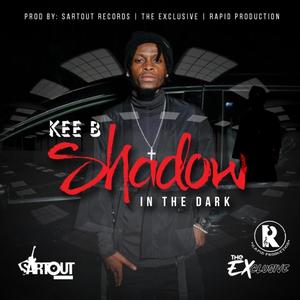 Shadow in the Dark (Explicit)