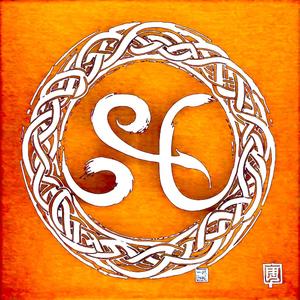 SHUT DOWN THE CITY ! (Explicit)