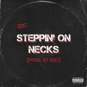 Steppin' On Necks (Explicit)