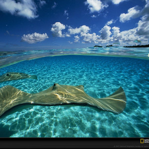 我这一生 (官方正版)