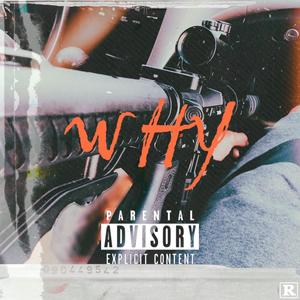 Why (feat. Pook Tha God) [Explicit]