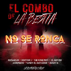 No se ronca (feat. The King Boy, Doctor J, Richaelio, El Mister, Sandy Dictador, Acronico & Richy O) [Explicit]