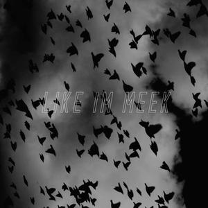 like i'm meek (Explicit)