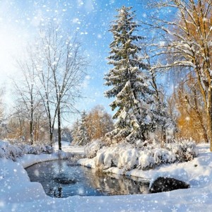 荒与雪