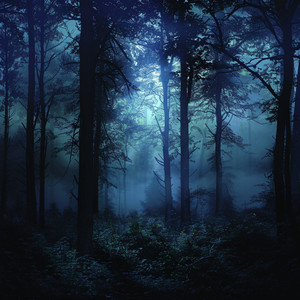 Melodías Profundas De La Tierra De Los Sueños