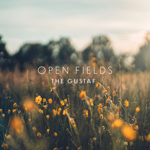 Open Fields Nature