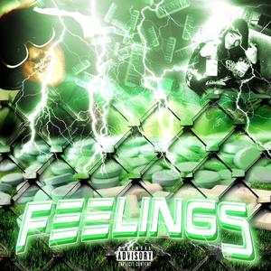 Feelings