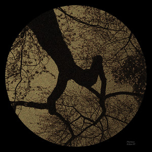 Liminal Edge