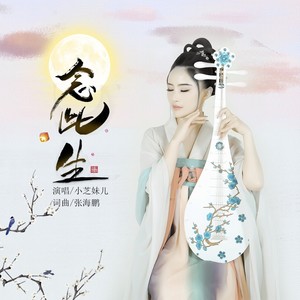 念此生 (DJ版伴奏)