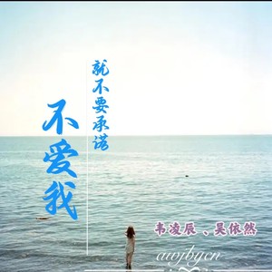 不爱我就不要承诺 (伴奏)